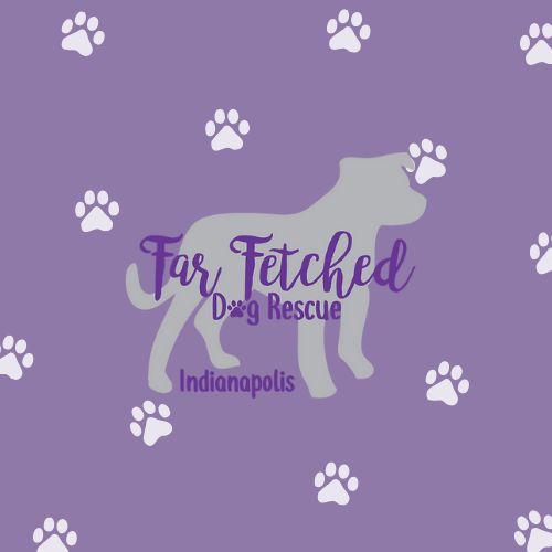 Far Fetched Dog Rescue