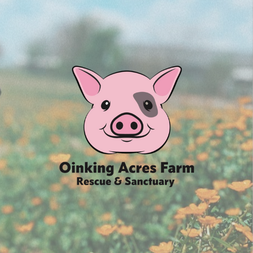 Oinking Acres Farm Rescue & Sanctuary